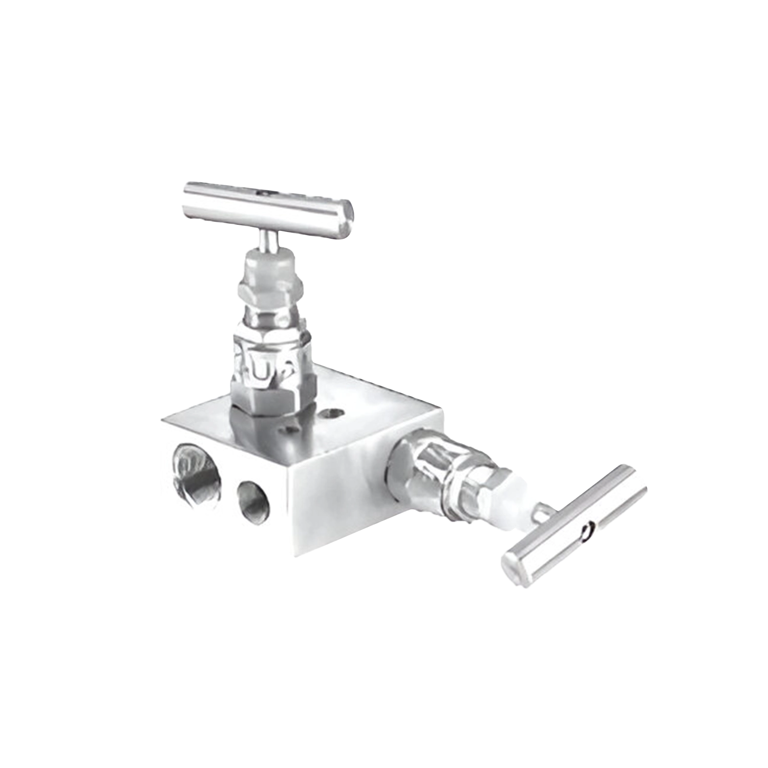 2-Valve Manifold — R-Type